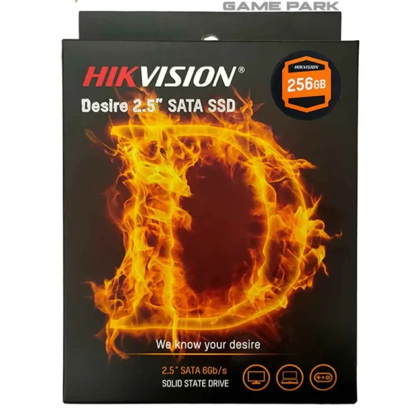 256GB SSD HikVision E100